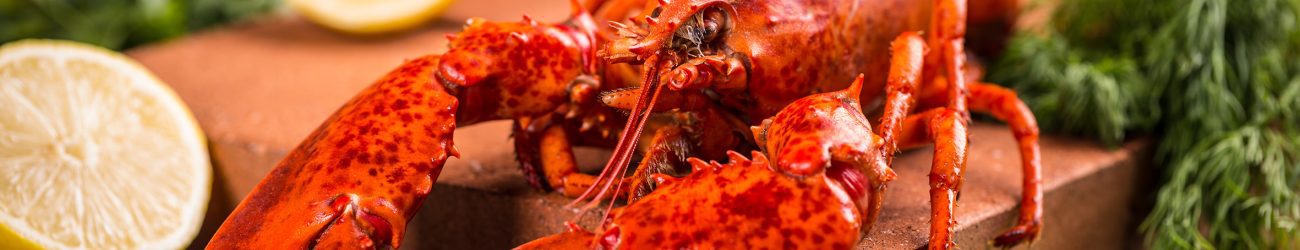 Steamed Lobster with lemon